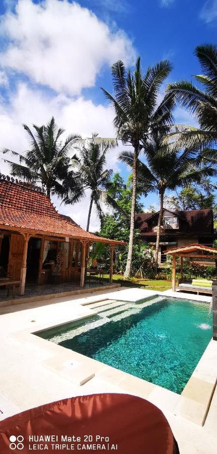 Villa The Birdhouse *